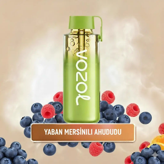 Blueberry Sour Raspberry Neon 12000 Pro PUFF puf vozol