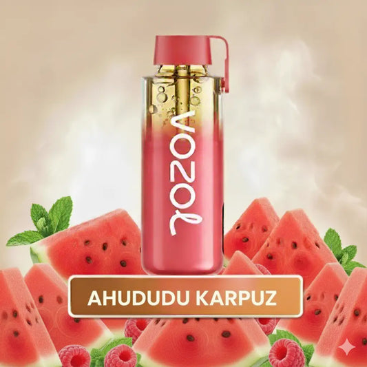 Raspberry Watermelon Neon 12000 Pro PUFF puf vozol